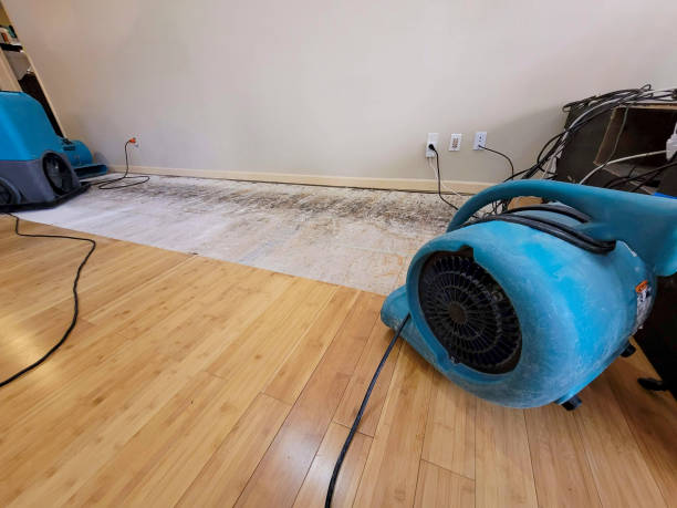 Professional Emergency Water Damage technician working in Cincinnati, OH